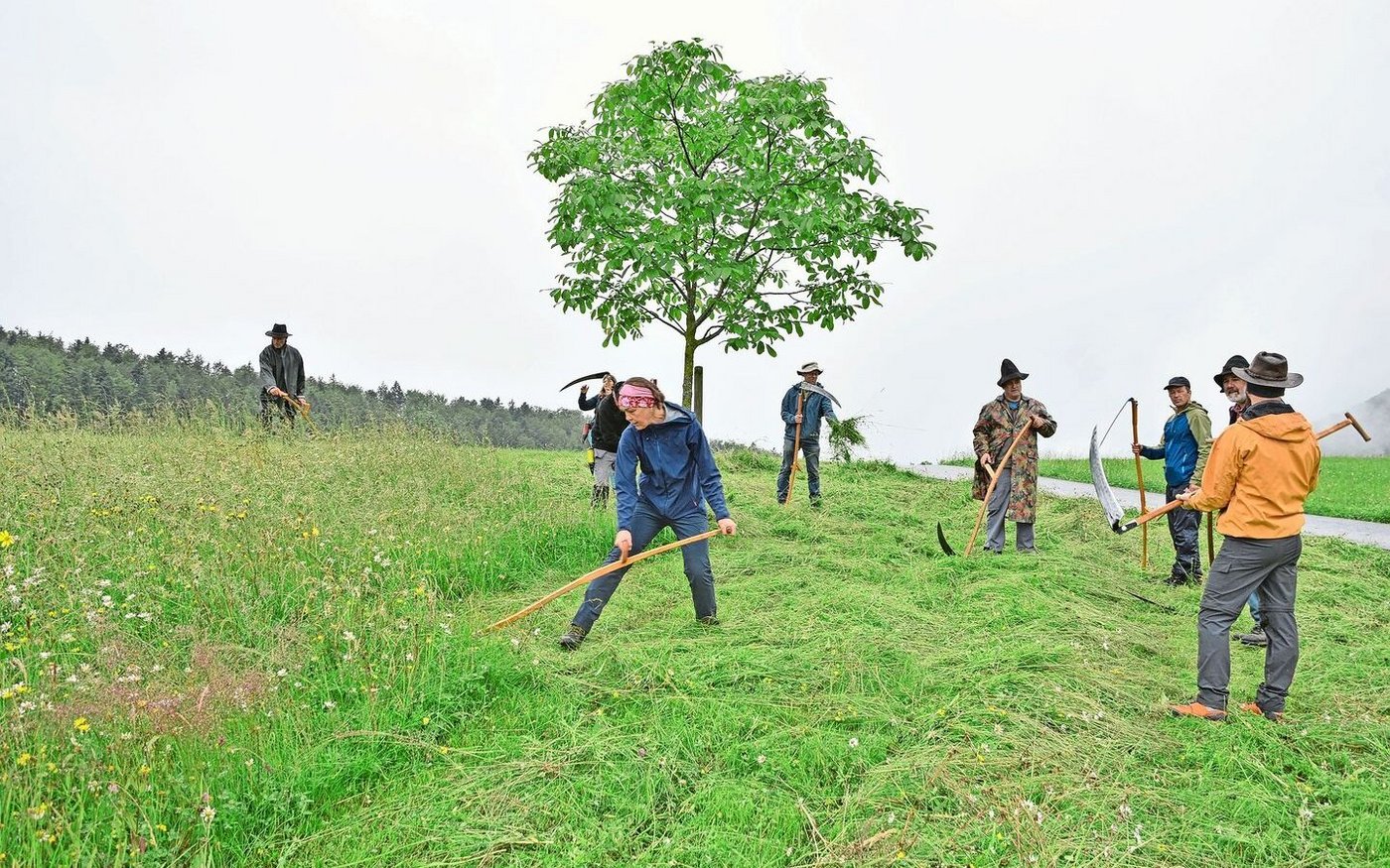 Bei der praktischen Arbeit zeigt sich, wer schon einmal eine Sense in der Hand hatte. Trotzdem waren die Mäusehaufen für viele eine Herausforderung.