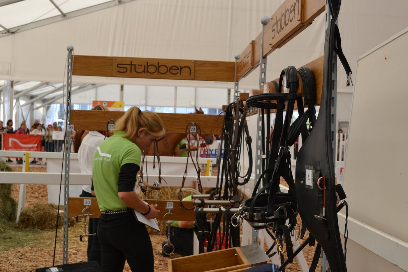 Die Pferdefachfrau lässt sich von den Zuschauern nicht aus der Ruhe bringen. (Bild Debora Moos)