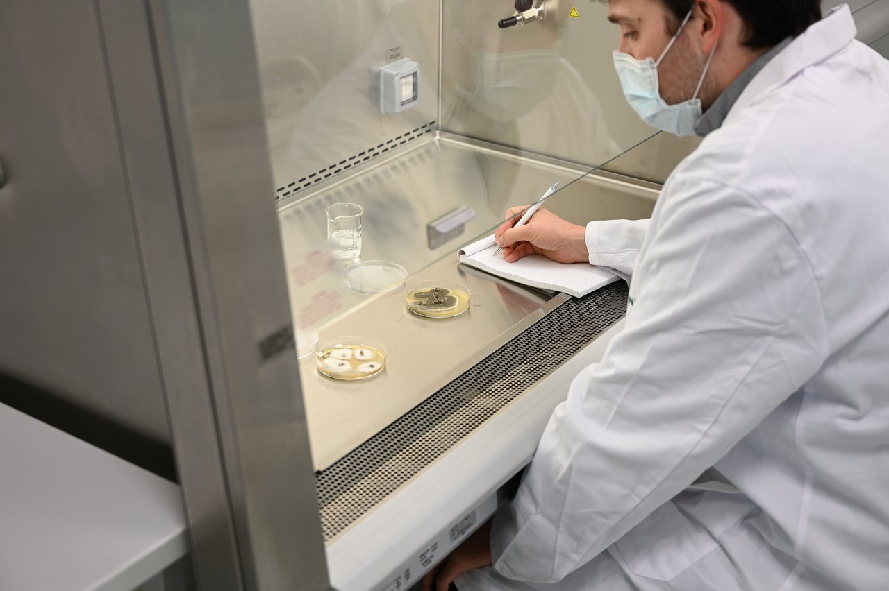 Eine Qualitätskontrolle sowie Labore für Mikro- und Makroorganismen.