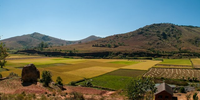 Kulturlandschaft in Madagaskar. (Bild Pixabay)