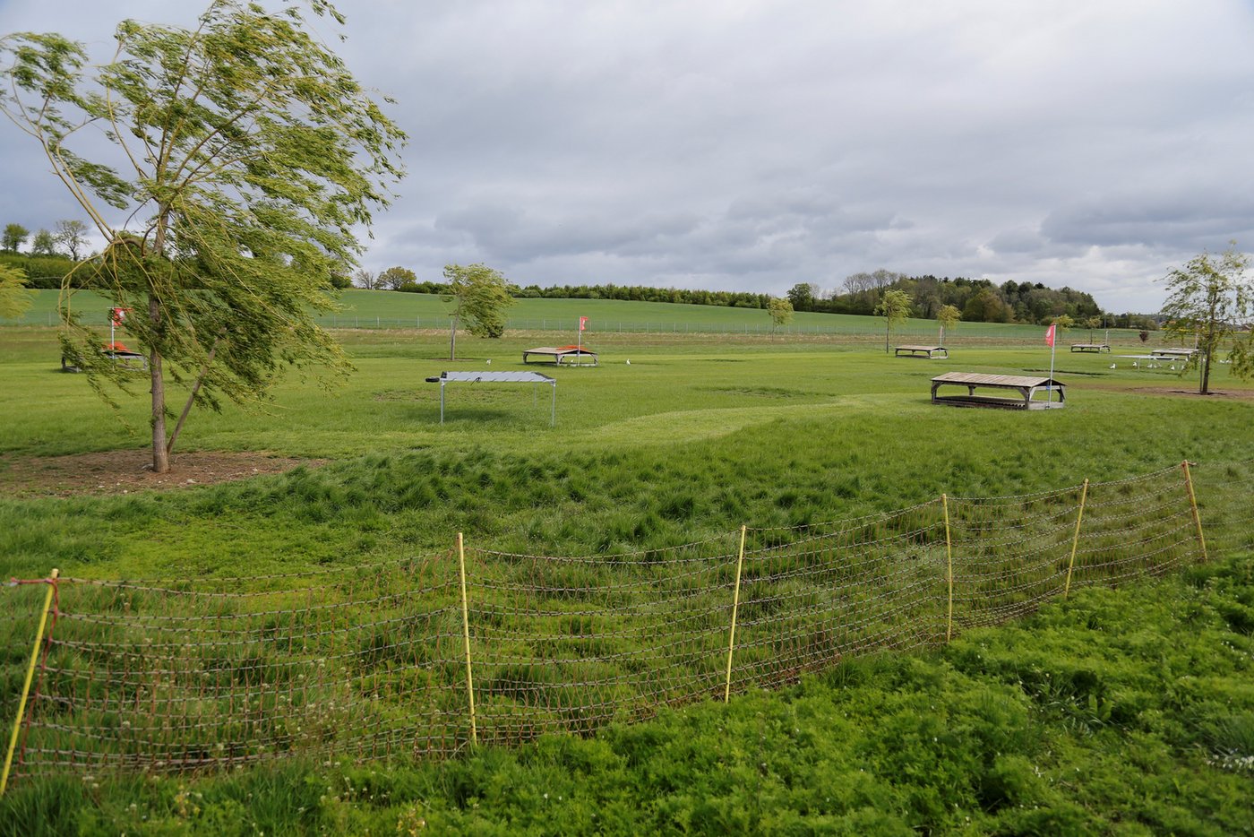 An windigen Tagen nutzen die Hühner gerne die Vorteile des Wintergartens, statt ganz nach draussen zu gehen. (Bild Melina Gerhard)