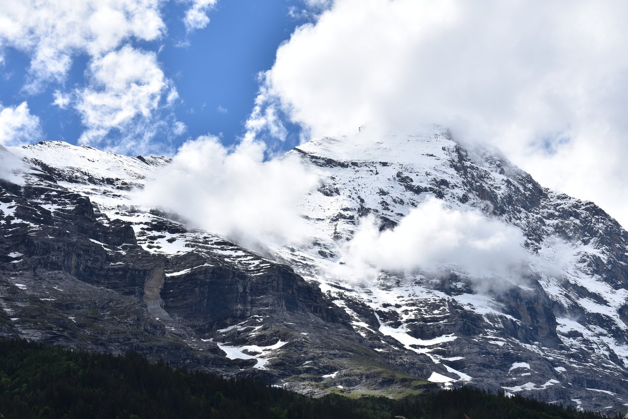 Der Betrieb liegt oberhalb von Grindelwald, mit perfektem Blick auf die Eigernordwand. (Bild Lisa McKenna)