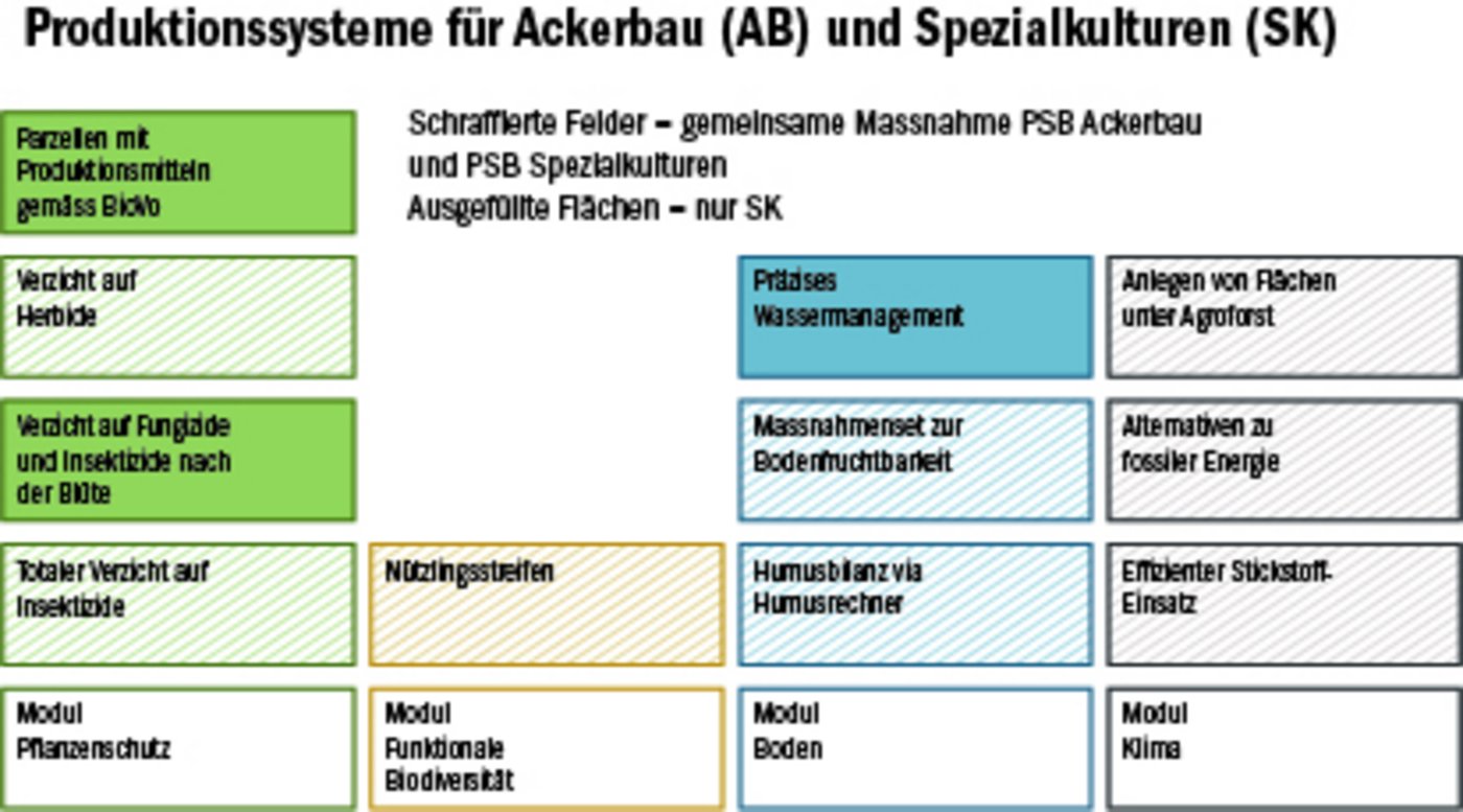 Im Rahmen der Produktionssystembeiträge soll es ab 2022 im Pflanzenbau vier Module geben. Innerhalb jedes Moduls werden bestehende und neue Massnahmen definiert. (Bild zVg)
