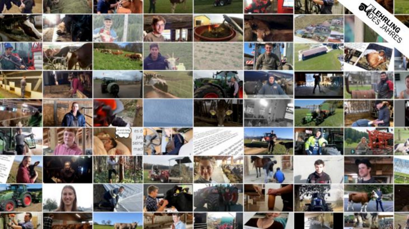 Wir sagen danke für über 80 Bewerbungen von euch! (Bild: Compositing BauZ) 