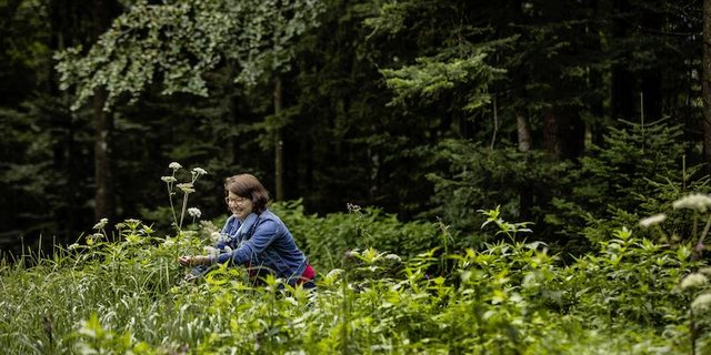 Im Buch sieht man Edith Aschwanden Kerbel pflücken. Das hat einen Grund: Vor dem Fotoshooting regnete es in Strömen und alles war pflotschnass. Deshalb brachte sie die wenigen verbliebenen Blumen am Vorabend zum Trocknen in die Garage. (Bild Tina Sturzenegger)