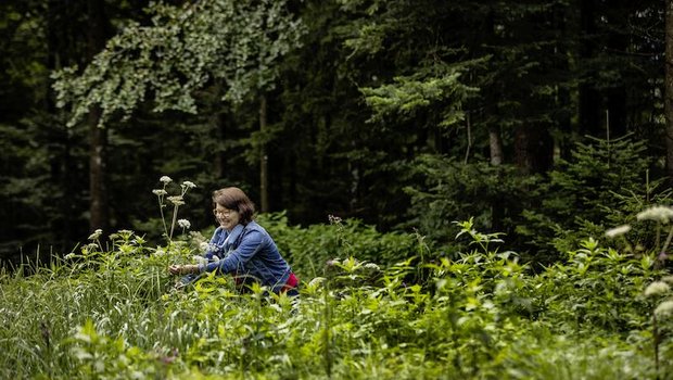 Im Buch sieht man Edith Aschwanden Kerbel pflücken. Das hat einen Grund: Vor dem Fotoshooting regnete es in Strömen und alles war pflotschnass. Deshalb brachte sie die wenigen verbliebenen Blumen am Vorabend zum Trocknen in die Garage. (Bild Tina Sturzenegger)