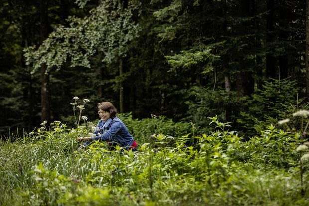 Blumenwettbewerb: Edith Aschwanden ist Teil des neuen Landliebe-Buchs Im Buch sieht man Edith Aschwanden Kerbel pflücken. Das hat einen Grund: Vor dem Fotoshooting regnete es in Strömen und alles war pflotschnass. Deshalb brachte sie die wenigen verbliebenen Blumen am Vorabend zum Trocknen in die Garage. (Bild Tina Sturzenegger)