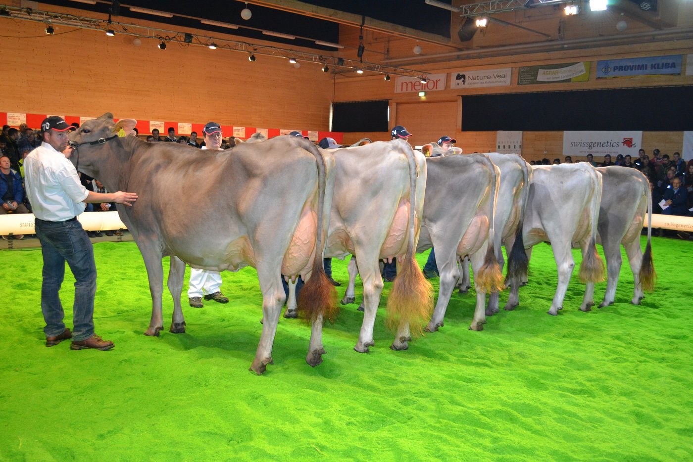 Super Euter mit wenig Volumen war das Markenzeichen von Salomon.