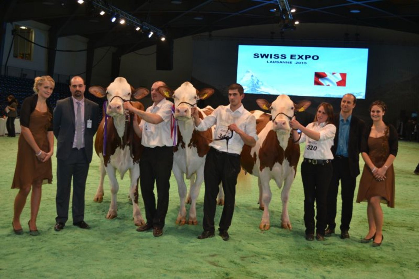 Champion (links): Robin Exception, Gaec le Chenet, Frankreich / Reserve Champion (Mitte): Masoline Aurore, Gebrüder Rey, Les Verrières NE / Mention Honorable (rechts): Urbaniste Galette, André Croisier, Gimel