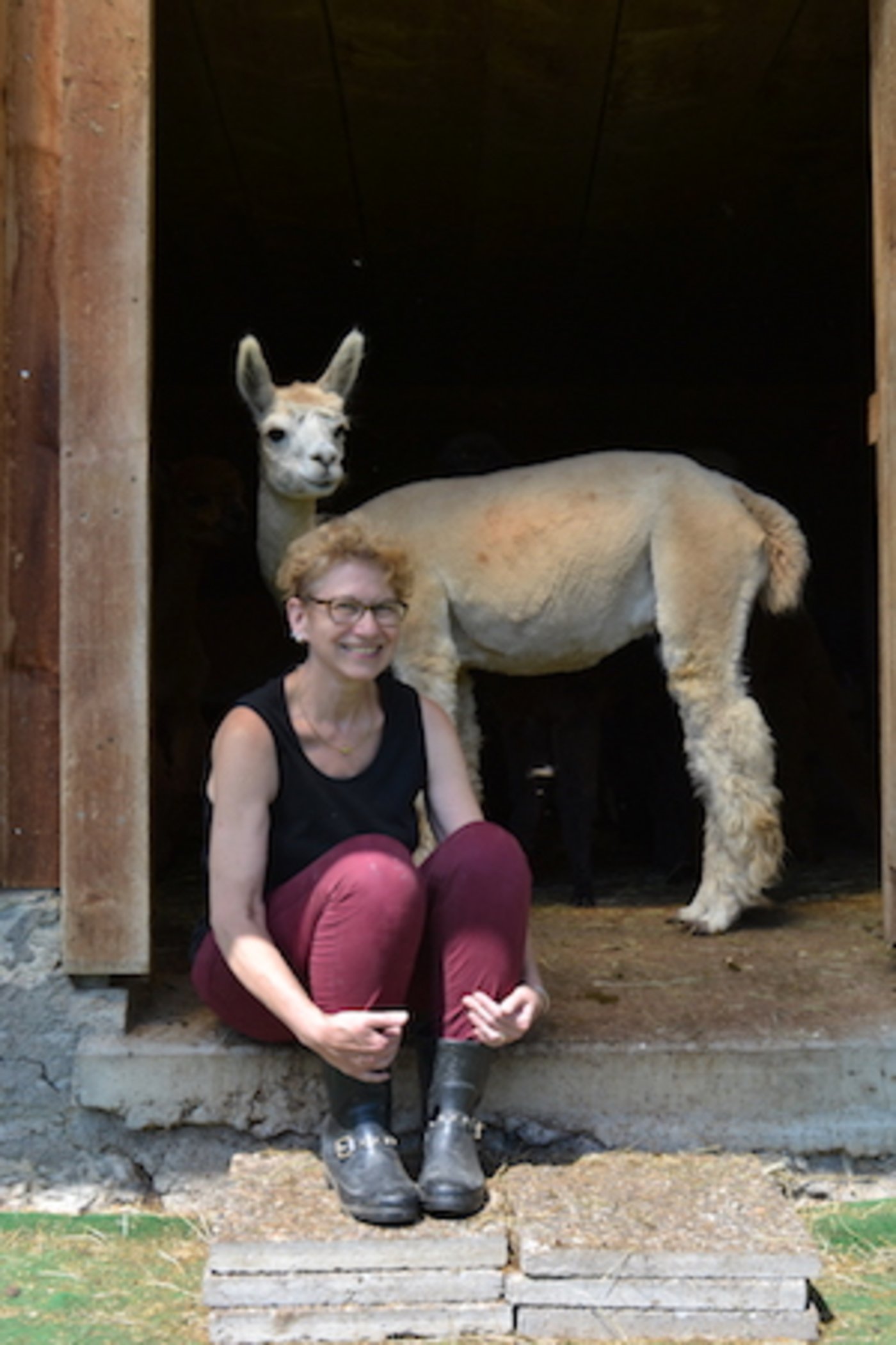 Schuld an den Alpakas ist ein verregneter Sonntag und ein Zeitungsinserat eines Alpakafestes. Die Familie sah, las – und fuhr spontan hin. Heute ist der Hof Heimat von 25 Alpakas.