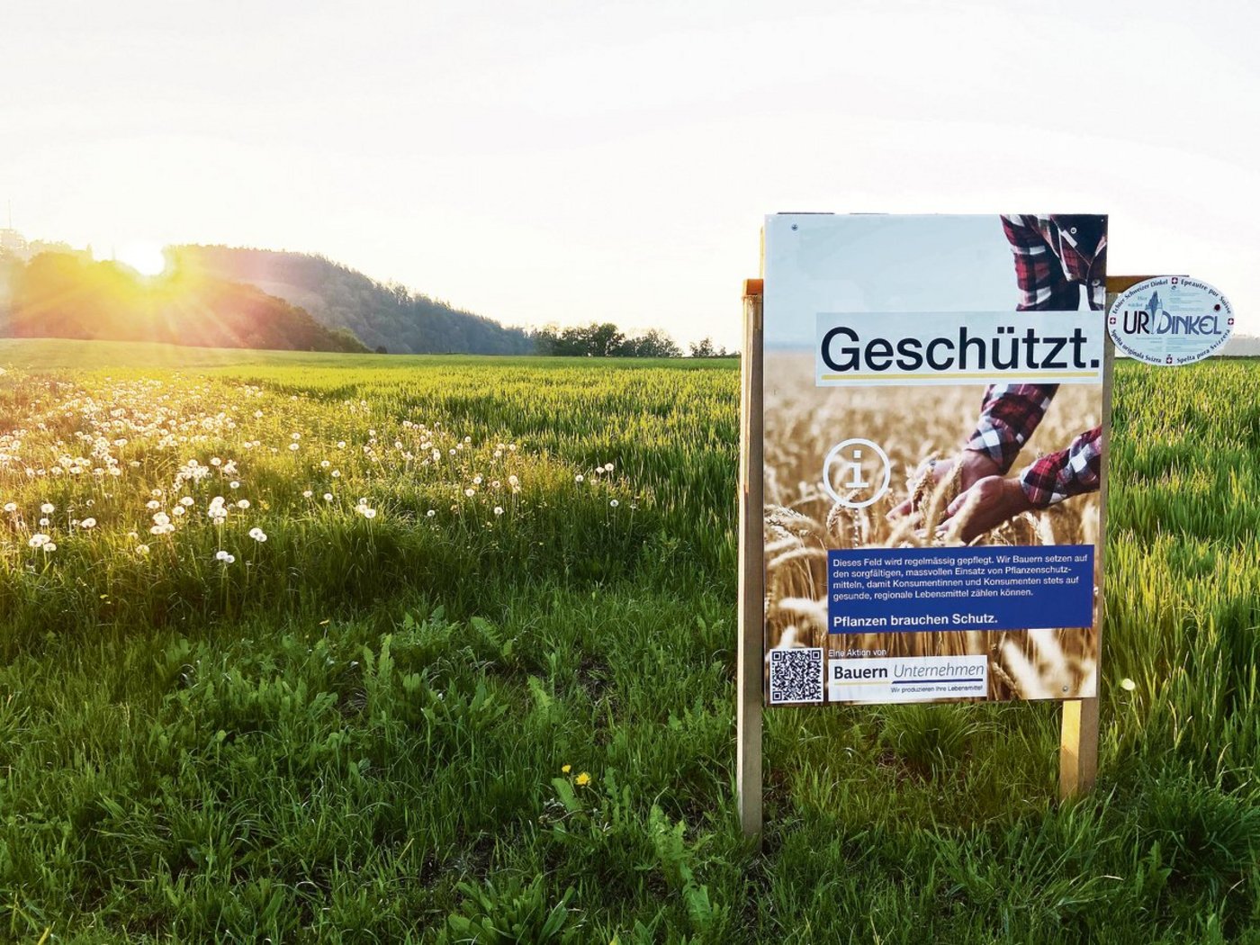 Informationstafel des Anstosses: Die Trinkwasser-Initianten wollten sie verbieten lassen, wurden aber zurückgepfiffen.(Bild akr)