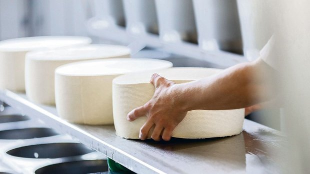 Grosse Unternehmen b Grosse Unternehmen befürchten aufgrund der unterschiedlichen Verwendung der eingekauften Milch mehr administrativen Aufwand durch die direkte Auszahlung der Milchzulagen.