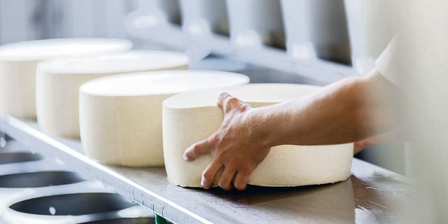 Grosse Unternehmen befürchten aufgrund der unterschiedlichen Verwendung der eingekauften Milch mehr administrativen Aufwand durch die direkte Auszahlung der Milchzulagen. 