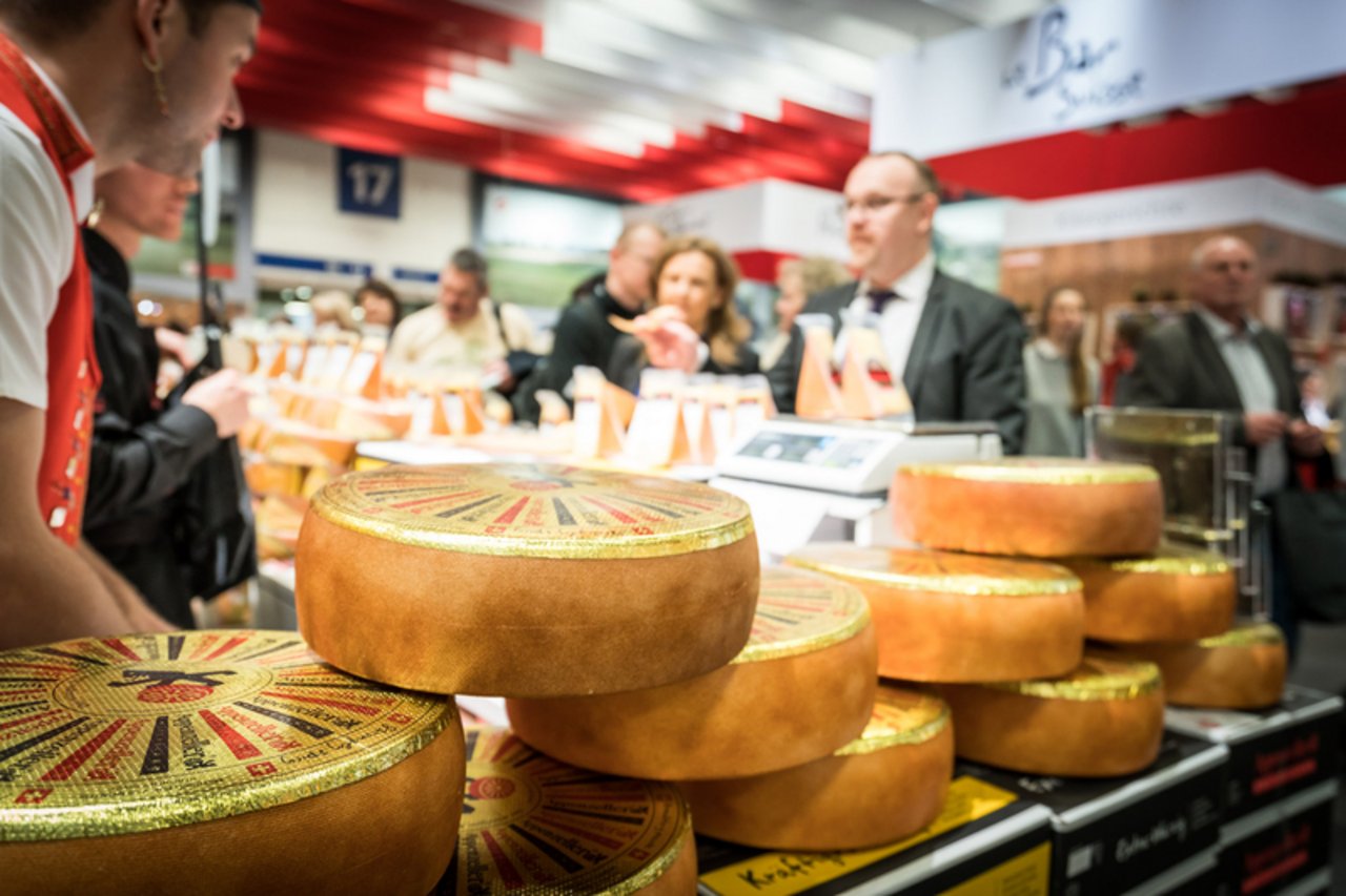 Schweizer Käse soweit das Auge reicht. 