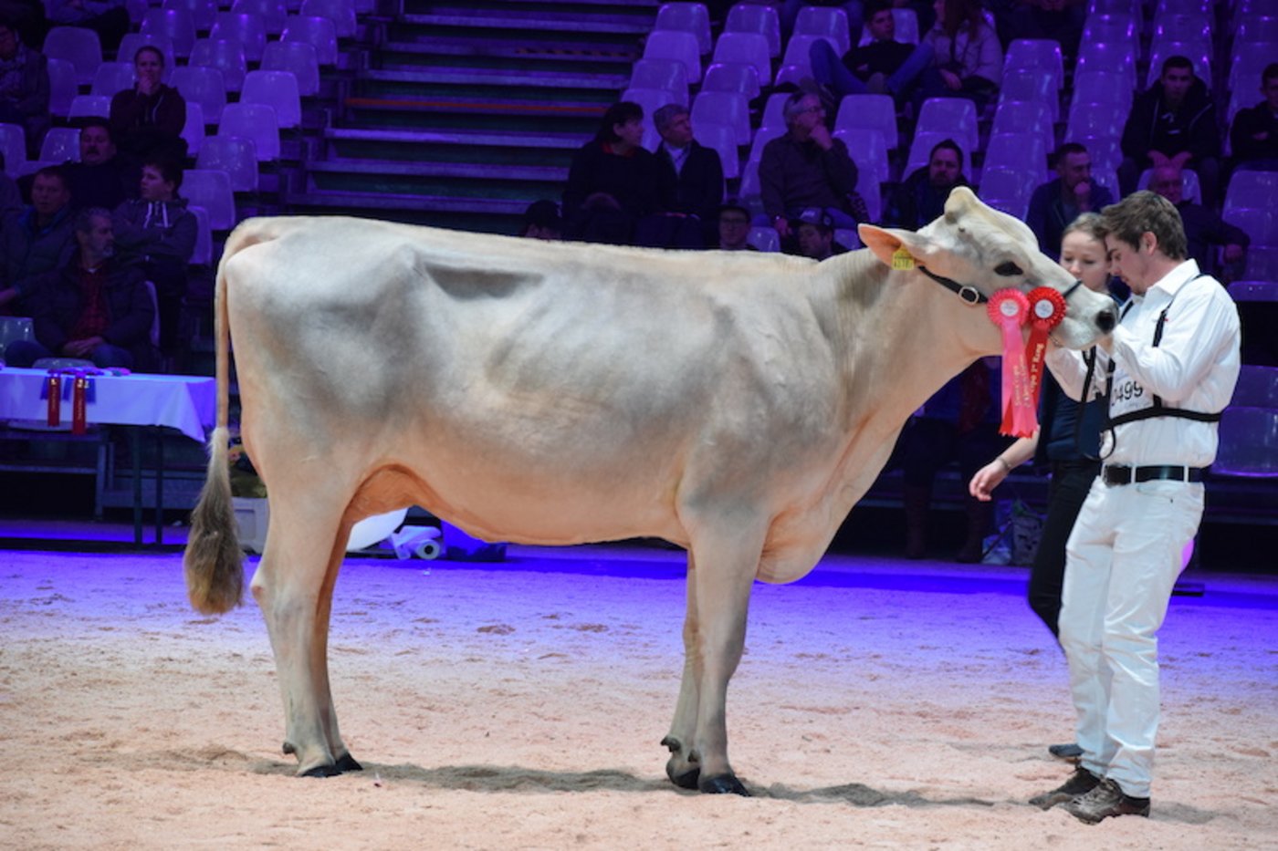 Siegerin Kat. 6: Adrians Grischa Star Elfie von Andrea Arpagaus aus Falera GR. 