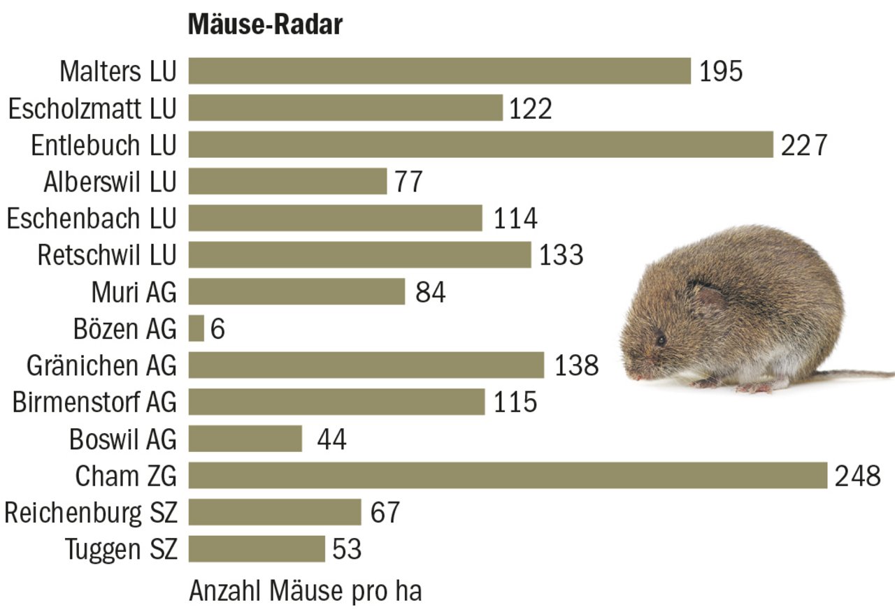 Auch in unserer Region wurden 2020 an ausgewählten Standorten die Mäuse pro Hektare ausgezählt. (Grafik BauZ / Quelle AGFF)