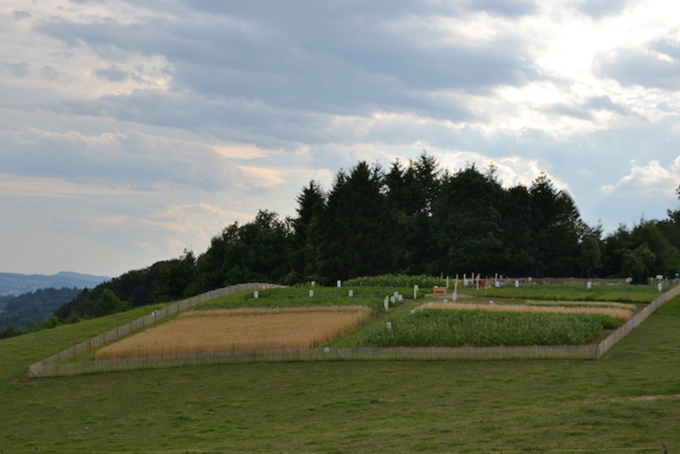 Der Weltacker ist wie ein Freilichtmuseum.