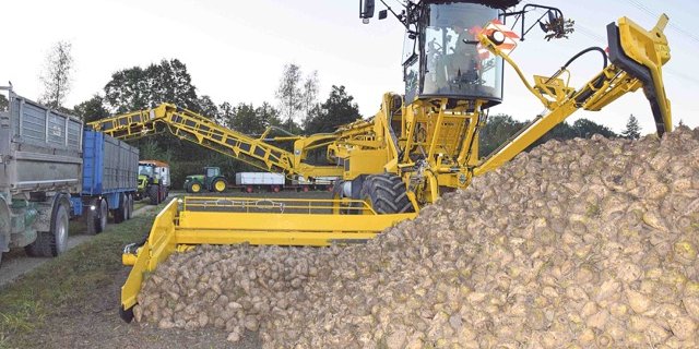 Eine der fünf «Rübenmäuse» des Rübenrings Seeland stand letzten Dienstag zum ersten Mal in diesem Herbst im Einsatz. Eine solche Maschine kostet um die 240'000 Franken. (Bild Peter Fankhauser) 