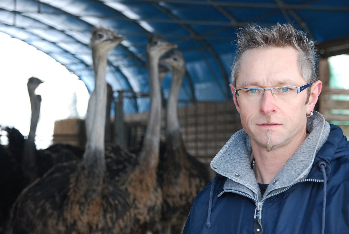 Cornel Eberle bei seinen Straussen. Eine komplette Verwertung ist ihm auch aus ethischen Gründen wichtig. So entstehen aus der Straussenhaut ...(Bilder lid/zVG)