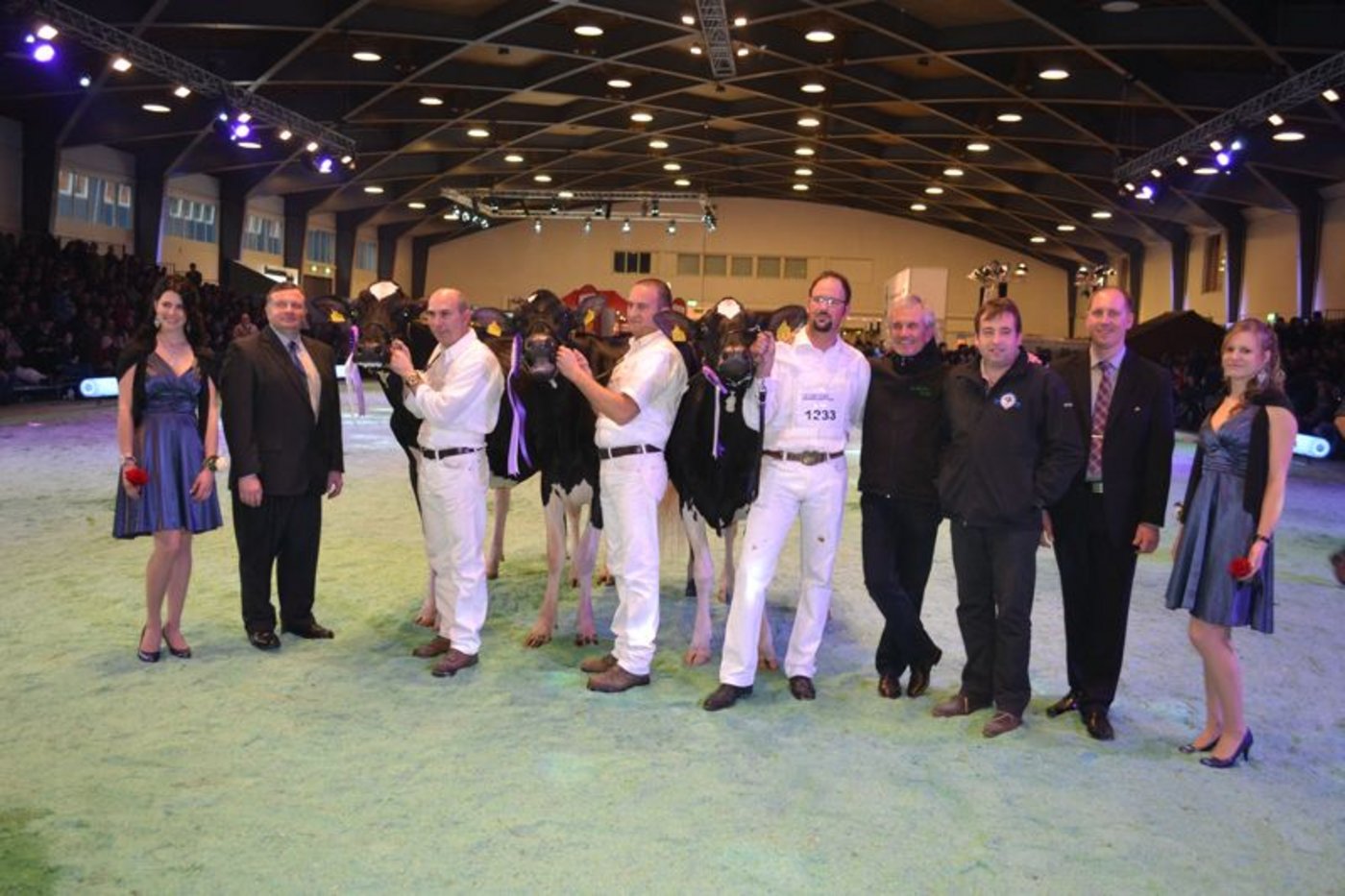 Intermediate Champion (Mitte): Atwood Galys-Vray, M. und E. Junker & Thomas Staub & Al.Be.Ro. Iffwil / Reserve Intermediate Champion (links): Holst. Papaux Atwood Neptune, Comex Currat Papaux Piller, Les Ecasseys / Mention Honorable (rechts): Knowledge Lisette, Marc und Erhard Junker, Iffwil