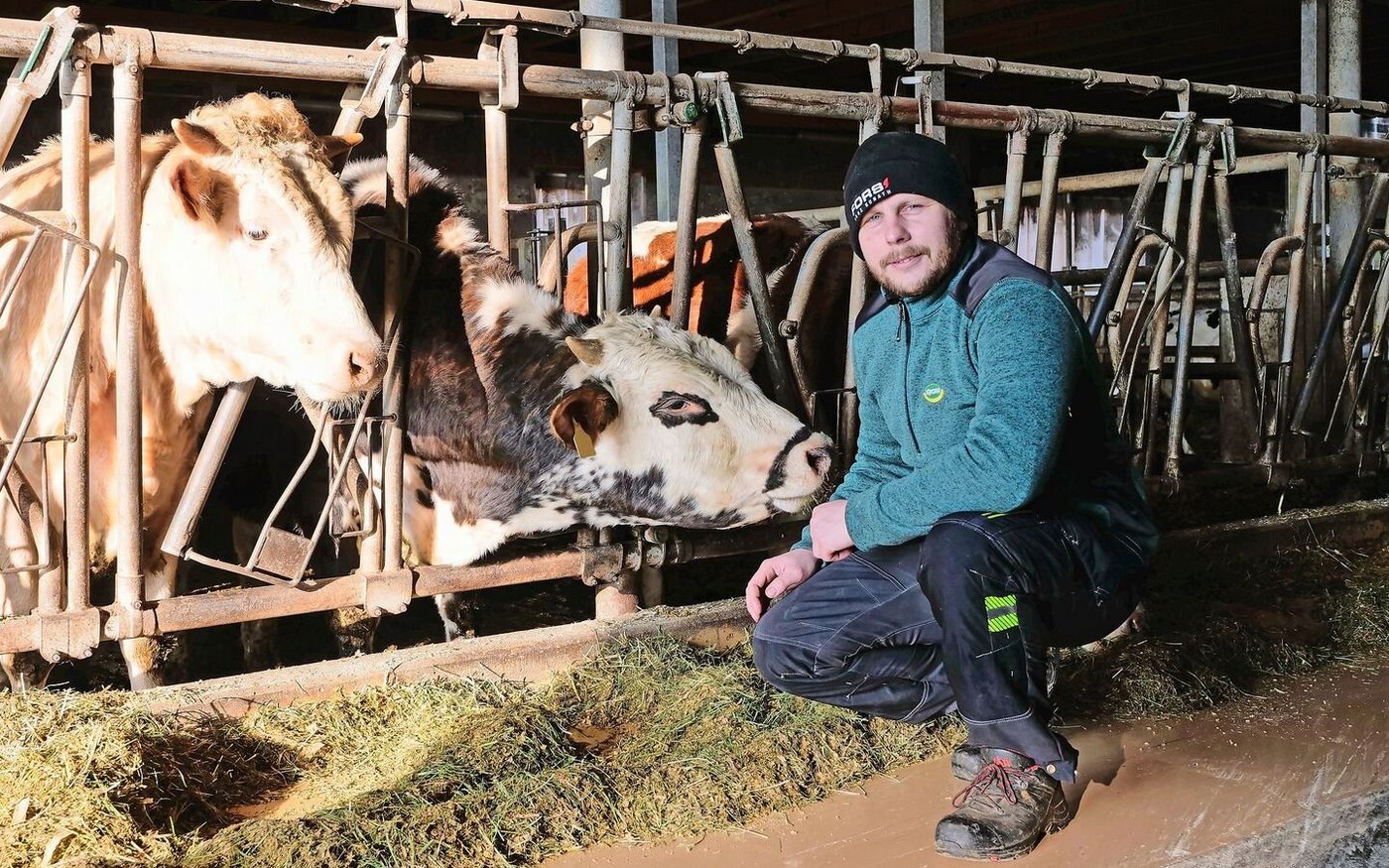 Betriebsleiter Christoph Haefely vor einer seiner Mastrindergruppen.