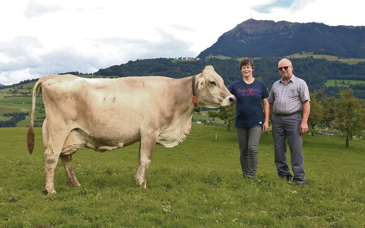Bereits sieben 100 000er-Kühe standen auf dem Hof Barbrämen von Amara und Xaver Dober, eine davon ist die bekannte Stierenmutter Glenn Gladiola.