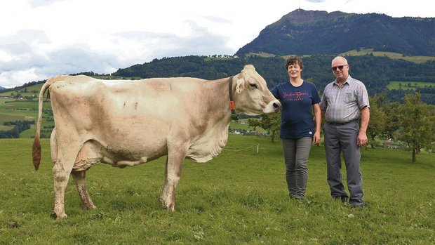 Bereits sieben 100 0 Bereits sieben 100 000er-Kühe standen auf dem Hof Barbrämen von Amara und Xaver Dober, eine davon ist die bekannte Stierenmutter Glenn Gladiola.