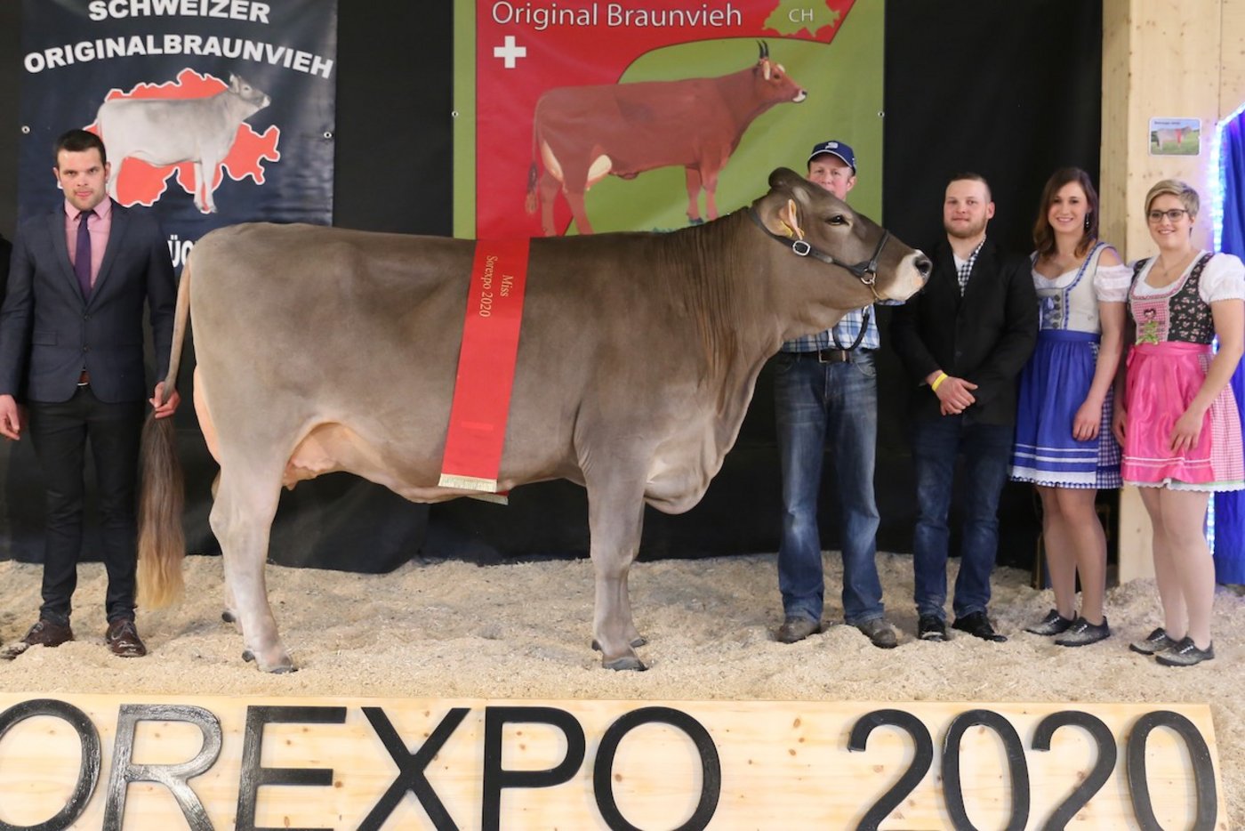 Die Valido Livia von Thomas Bucher aus Neuenkirch wurde Miss Sorexpo und Schöneutersiegerin der mittleren Kühe. (Bildquelle: Reto Betschart)