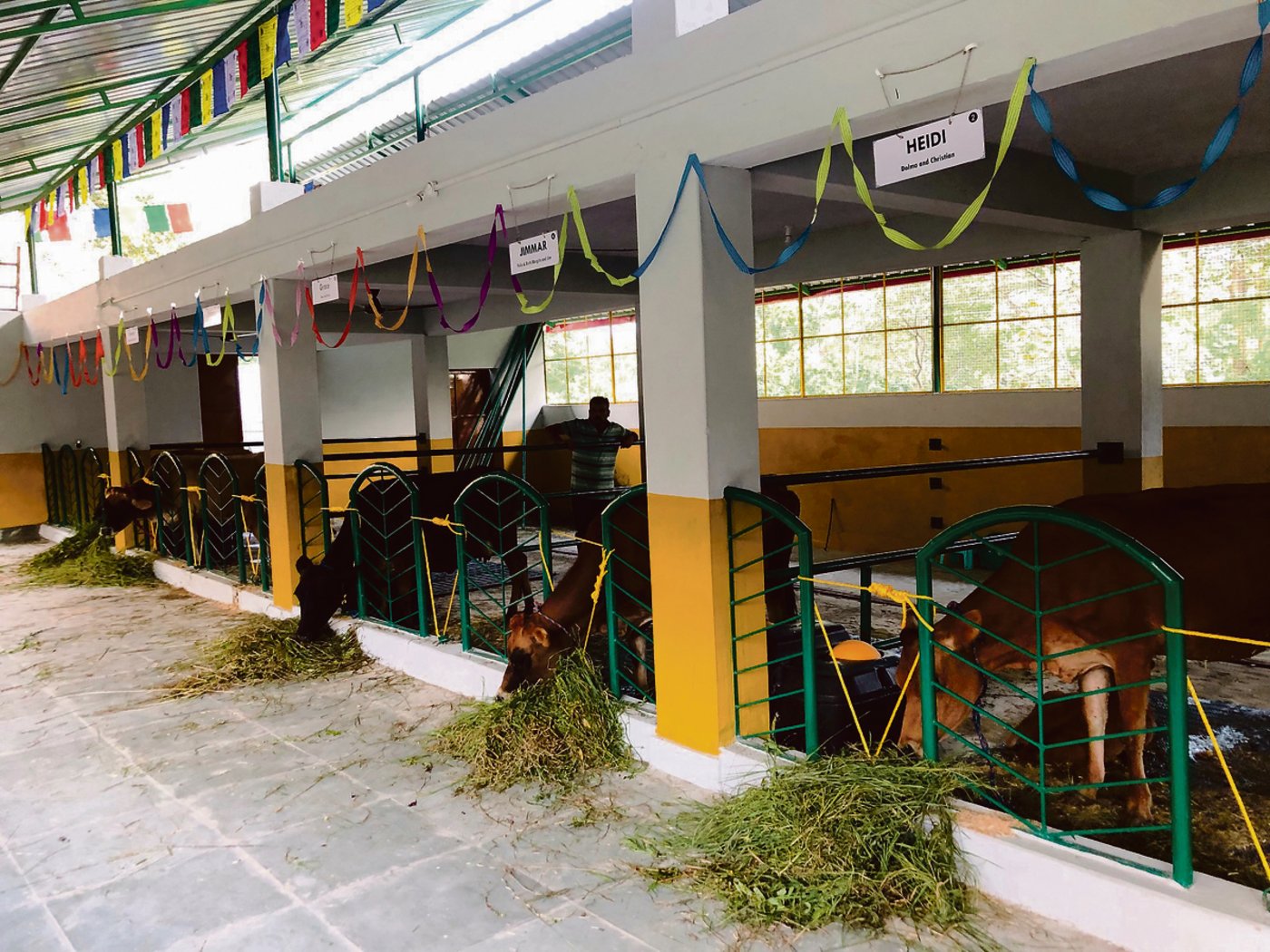 Der Laufstall wurde von der Krieger AG in Ruswil LU gezeichnet und geplant.(Bilder be)