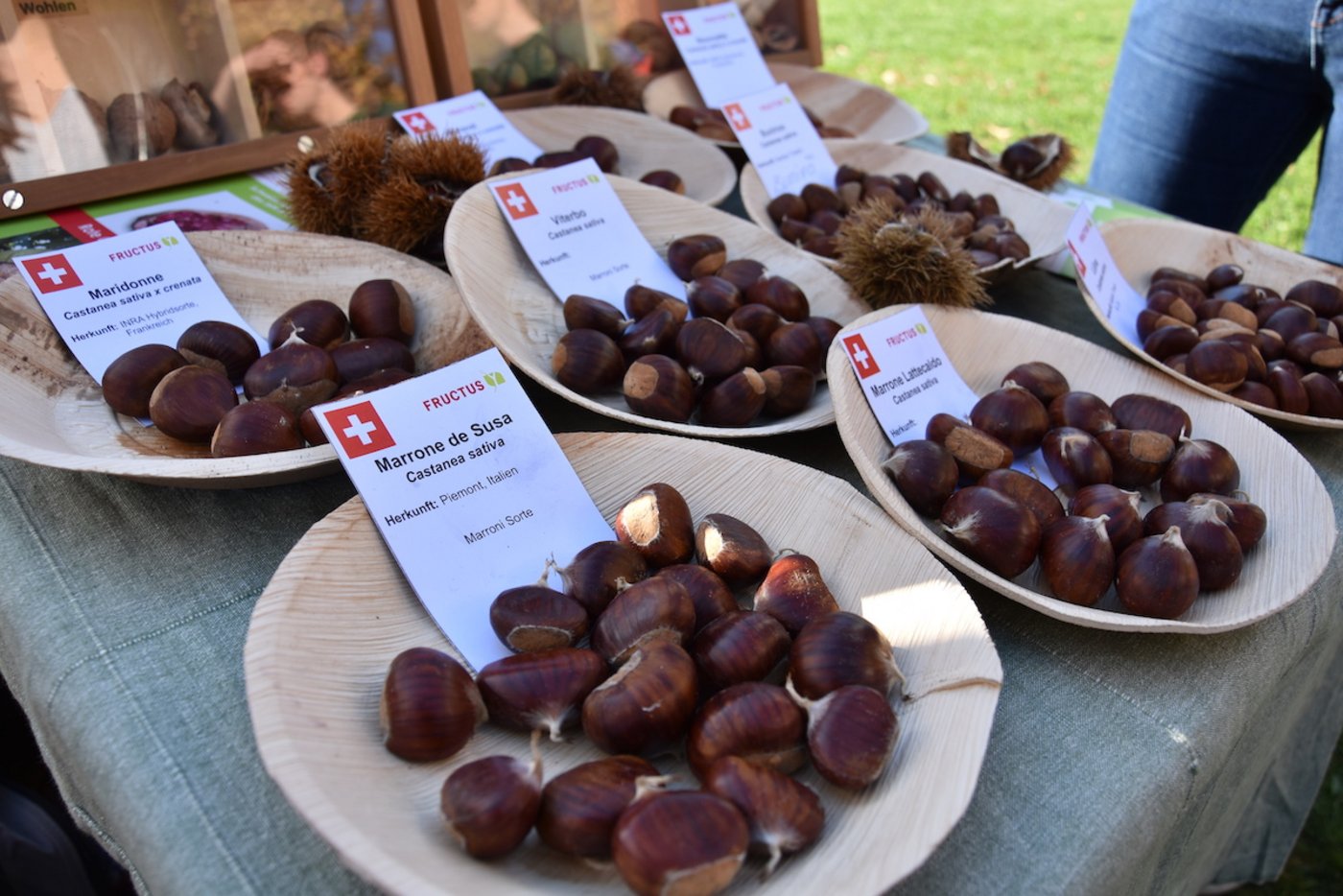 Auch eine Auswahl an Marroni war zu sehen. (Bild noe)