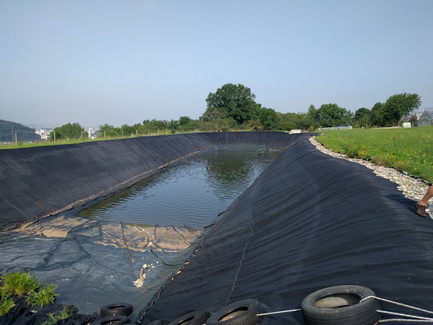 Auch ein zweiter Speicher mit angrenzendem Biotop ist in Betrieb.