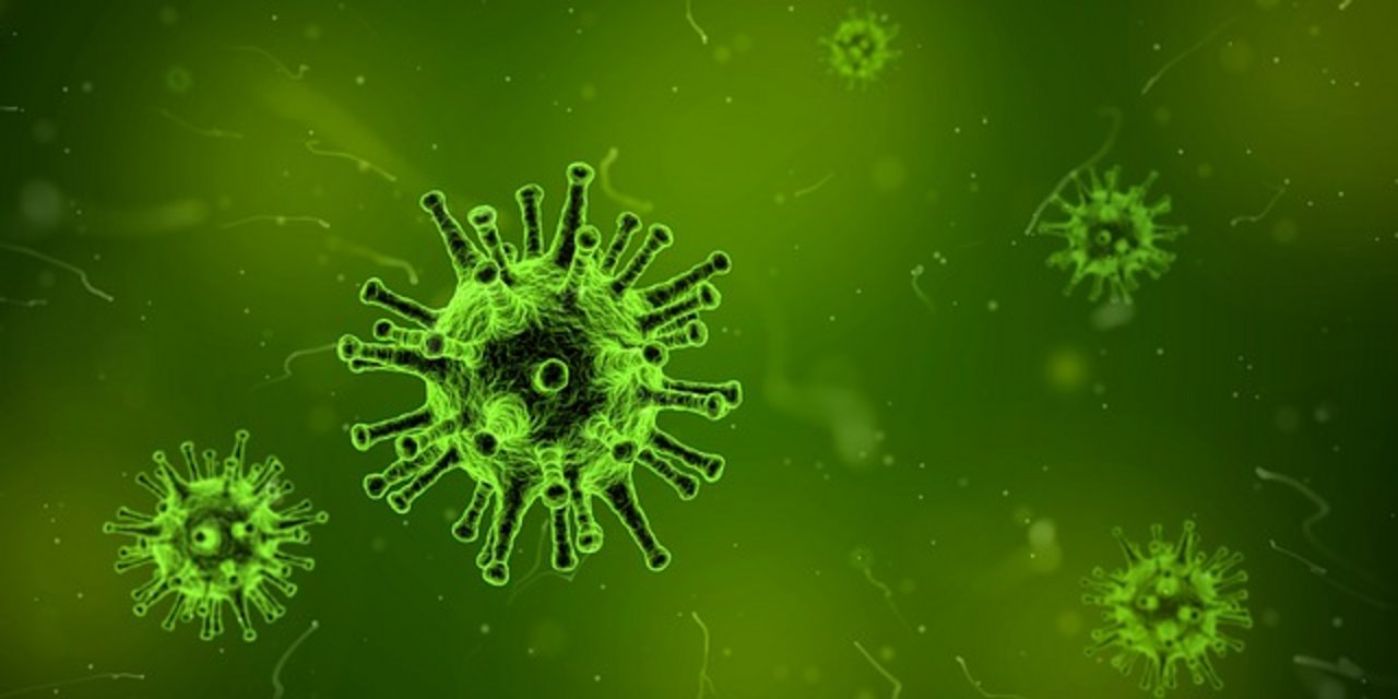 Die Forschenden vermuten, dass die Bedingungen in der ARA einen Überlebensvorteil für resistente Mikroorganismen bieten. (Bild pixabay)