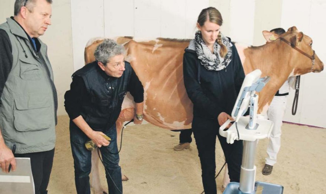 Ein Bild, das an der Swiss Expo in Lausanne entstand: Mit einem Ultraschallgerät wird untersucht, ob Kühe Euterödeme haben. (Bild Archiv)