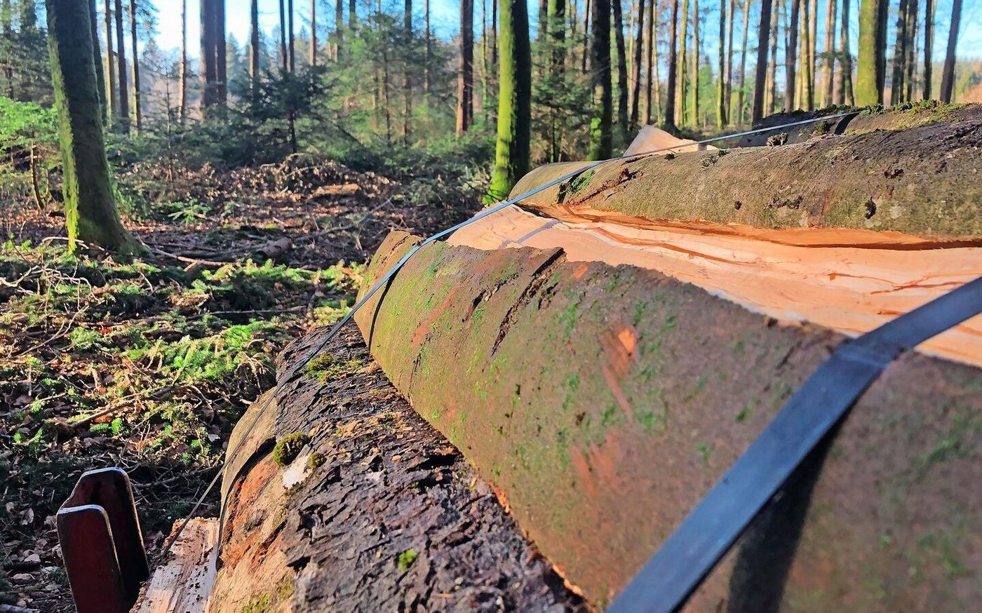 Muss der Wald zusammenpacken? Die Motion Glur soll das Bauen von Pumpstationen, Reservoirs oder Kanalisationen, die von öffentlichem Interesse sind, im Wald vereinfachen.