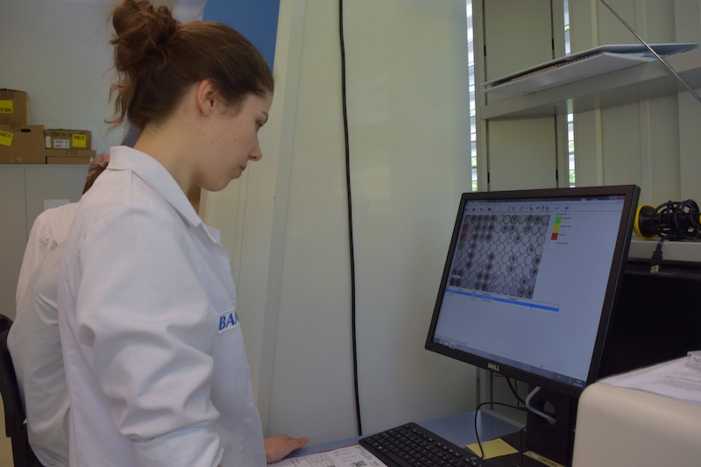 Lehrtochter Malin Strupler wertet ein Antibiogramm am Computer aus.