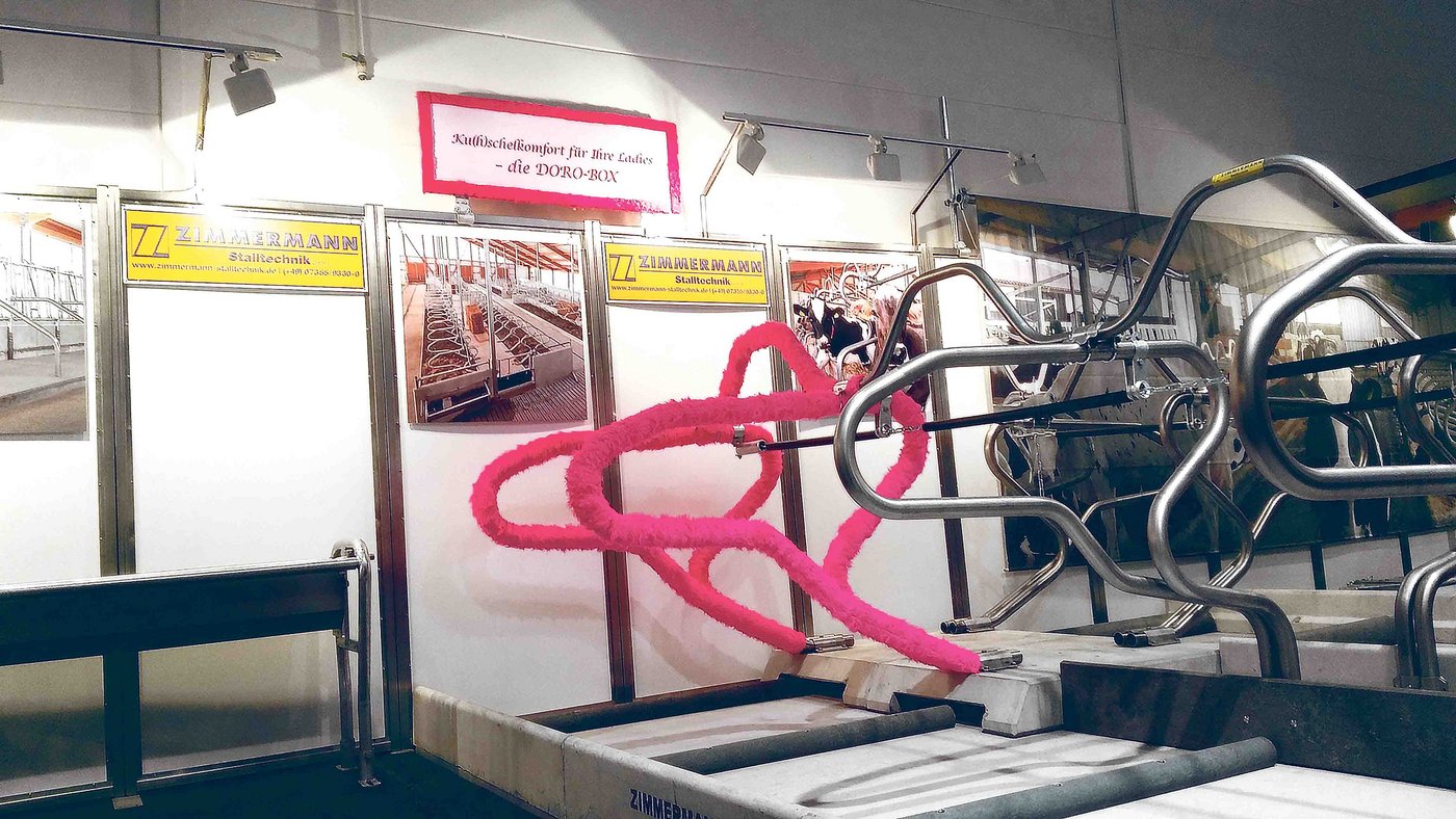 In dieser Liegeboxe fühlen sich die Kühe sicher richtig wohl. (Bild Simone Barth)