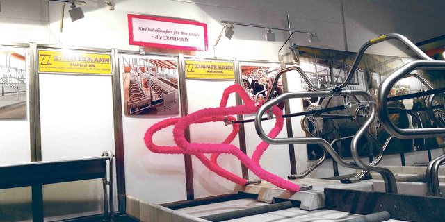 In dieser Liegeboxe fühlen sich die Kühe sicher richtig wohl. (Bild Simone Barth)