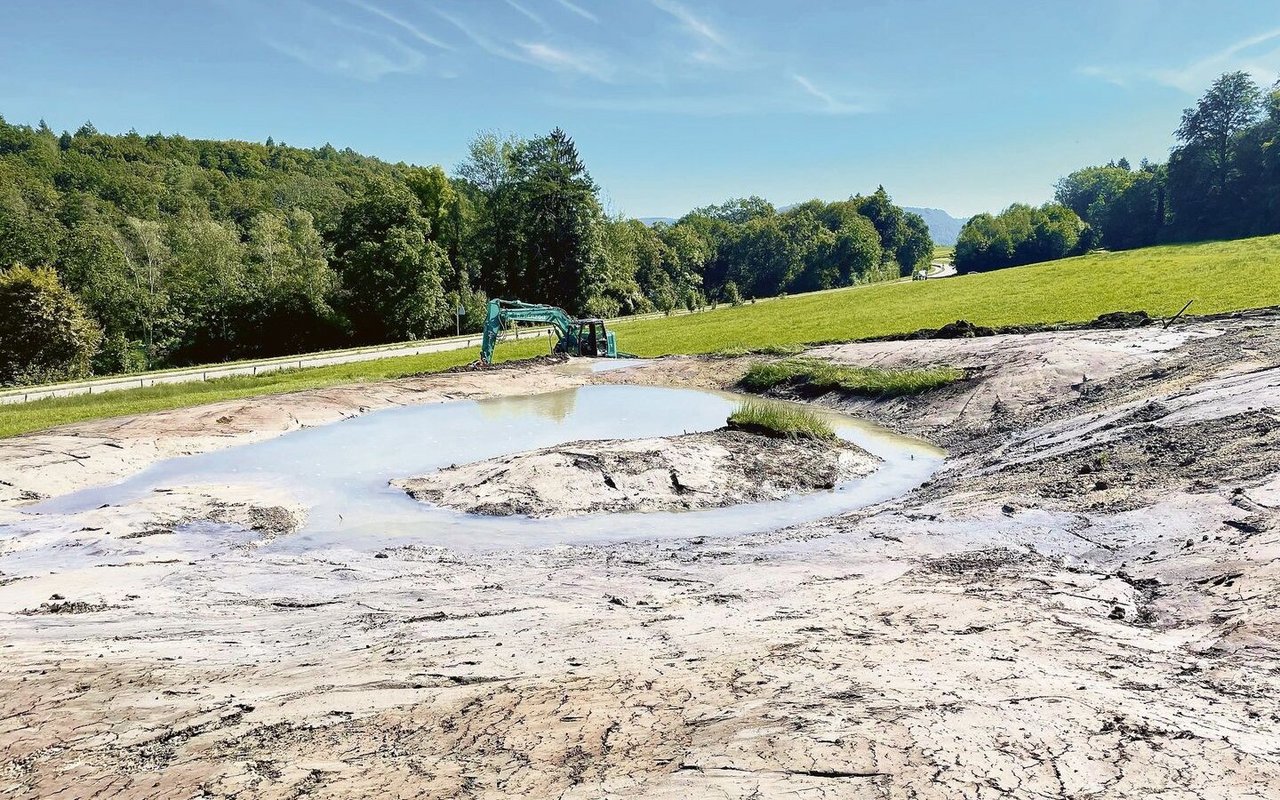 An diesem vorher landwirtschaftlich genutztem Standort entsteht ein Amphibientümpel. Vorher stand dort ein kleiner, nicht mehr genutzter Schopf, der abgerissen wurde. 