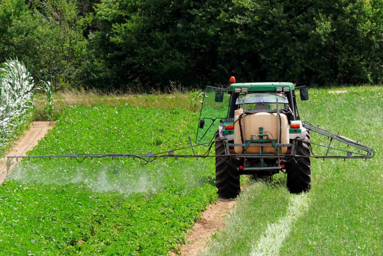 Der Agrochemie-Konzern Monsanto streitet Krebsgefahren beim Glyphosateinsatz ab. (Bild Lid)