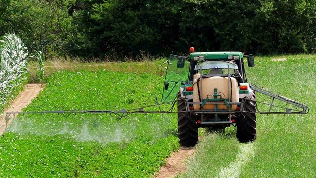 Der Agrochemie-Konzern Monsanto streitet Krebsgefahren beim Glyphosateinsatz ab. (Bild Lid)