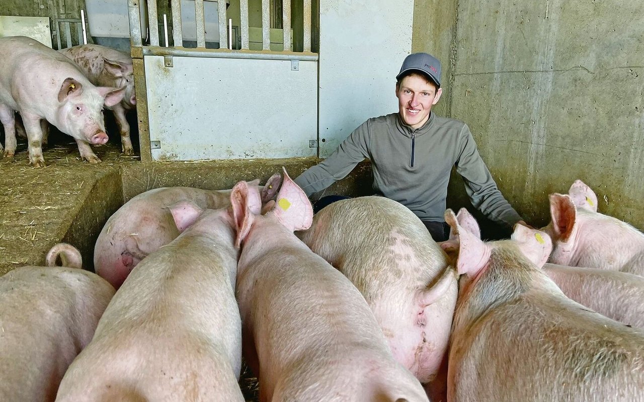 Tierhalter aus Leidenschaft: Mit Milchwirtschaft und Schweinemast bezeichnet Markus Gisler seinen Hof als typischen Luzerner Betrieb.