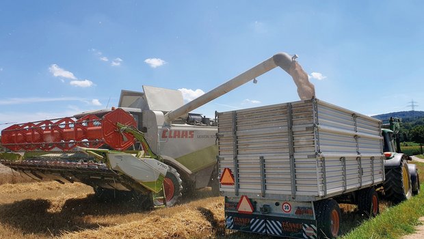 Kaufen Landwirte zusammen zum Beispiel einen Mähdrescher, ist die Auslastung besser und die Maschinenkosten sinken. Doch die Besitzer haften auch gemeinsam, wenn die Maschine kaputt geht. Ruth Aerni/BauernZeitung