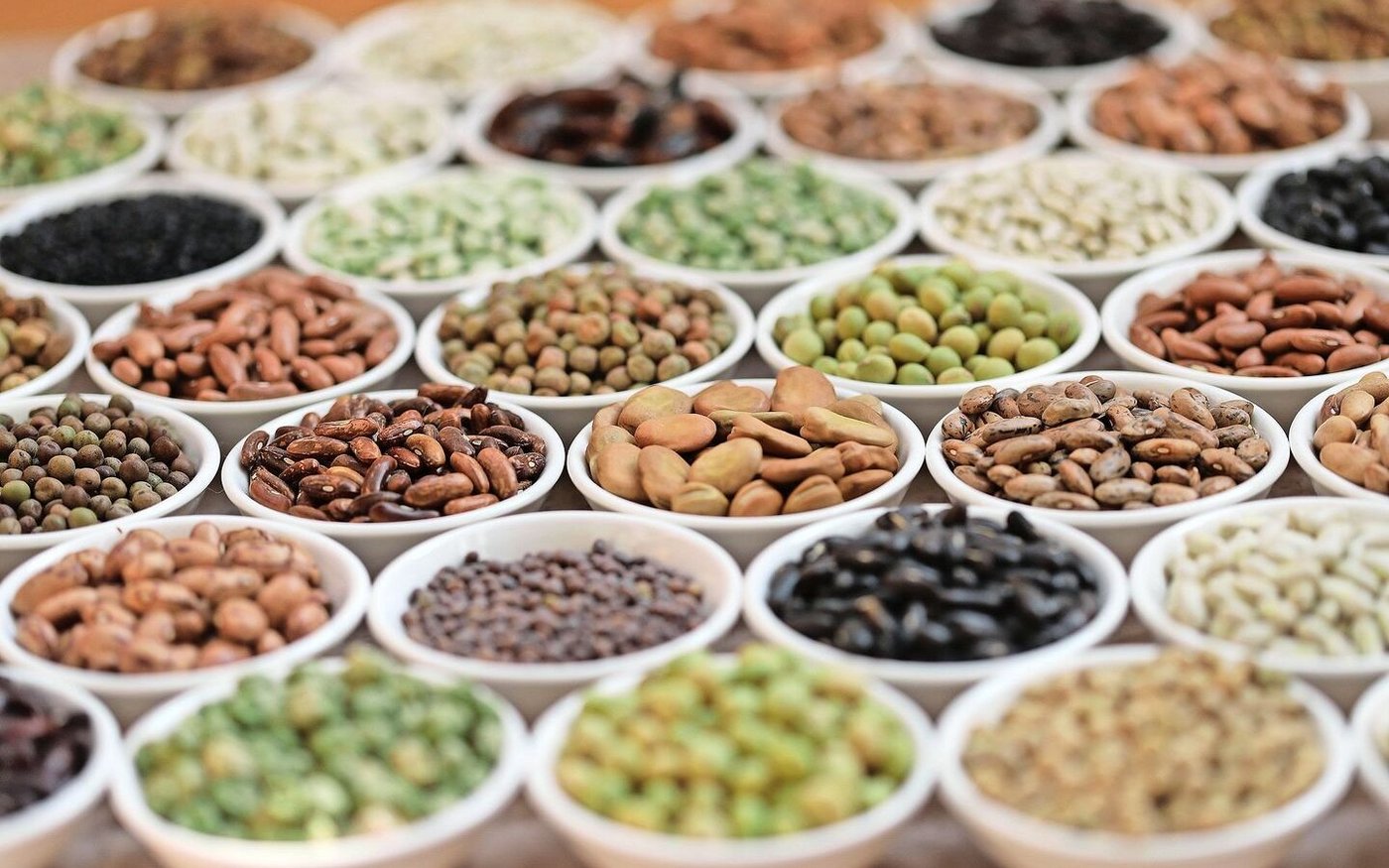 Das Samensortiment umfasst 700 Sorten.