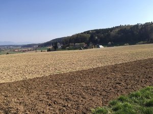 Laut Bundesrat sind zwischen 1985 und 2009 430 Quadratkilometer Boden überbaut worden, was zweimal der Fläche des Neuenburgersees entspricht. (Bild jsc)