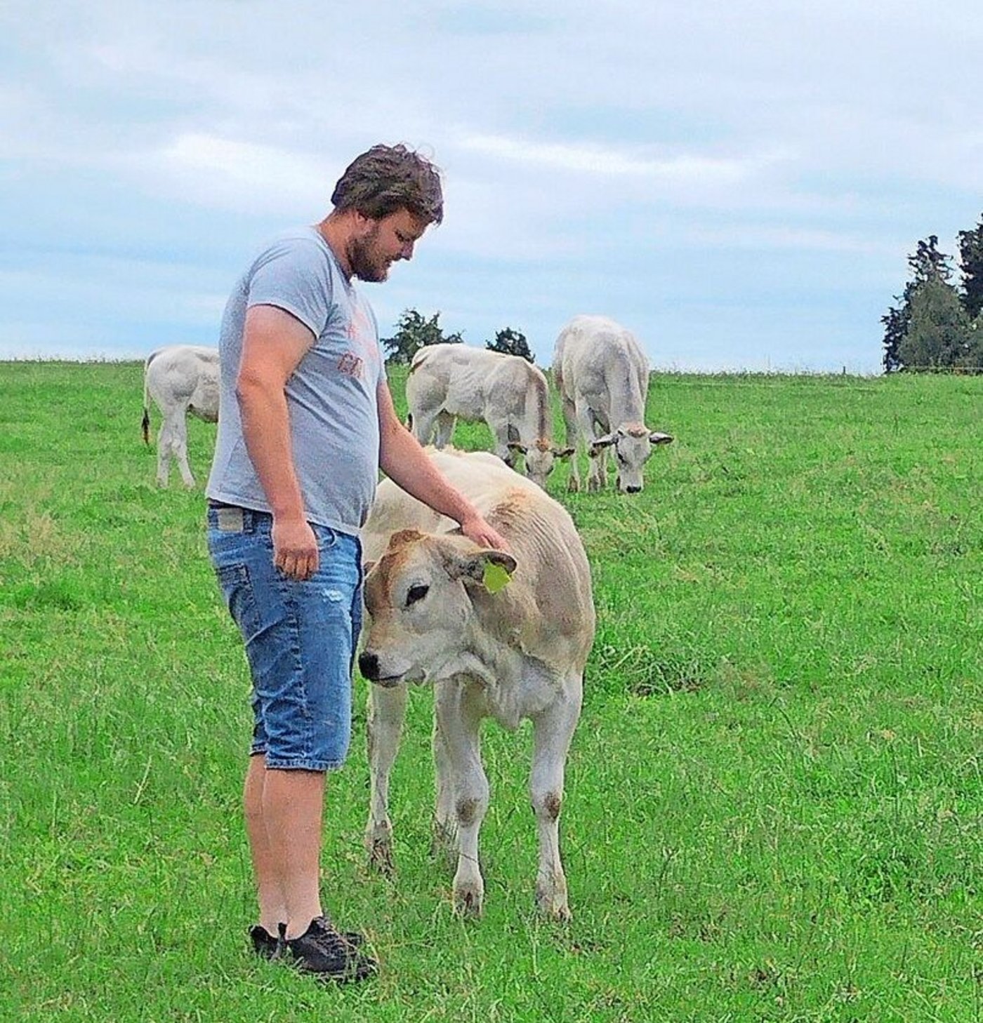 Die Kälber sind neugierig und handzahm. Florian Schild kennt jedes beim Namen.