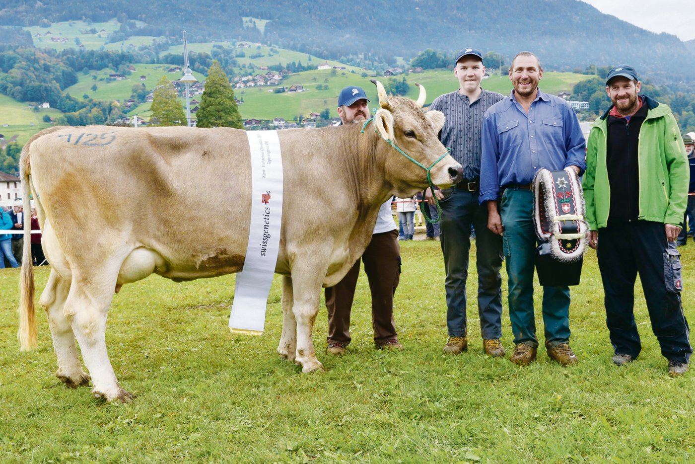 Den Tagessieg in der Kategorie Original Braunvieh holte Wendel Prima von Josef Michel aus Melchtal. (Bild Reto Betschart)