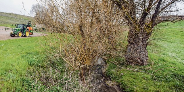 Die Abstandsauflagen zur Risikominderung verringerten das Risikopotenzial für Oberflächengewässer deutlich. (Bild Agroscope)