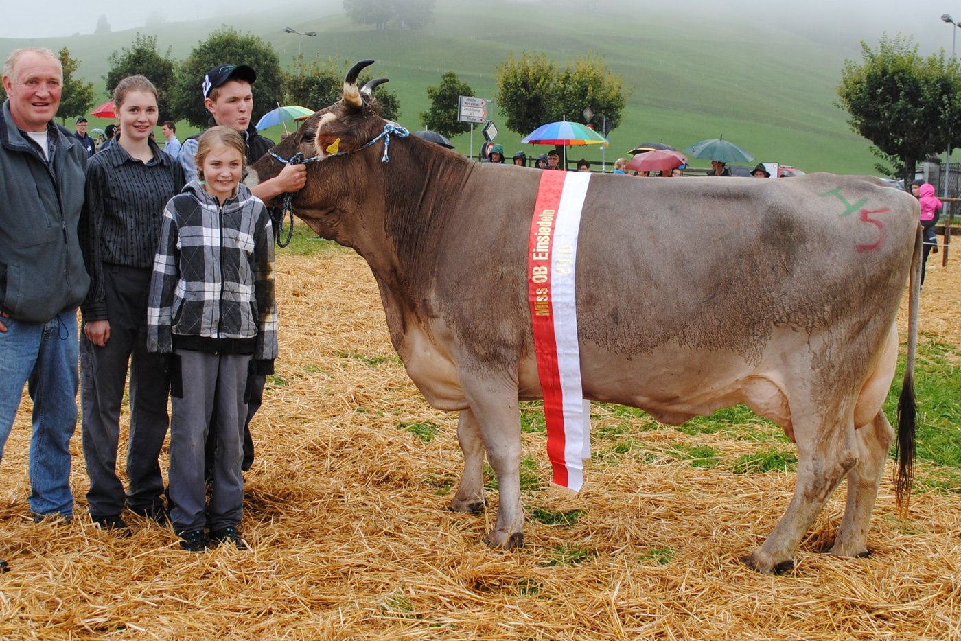 Miss OB Einsiedeln: Julian Ladina von Guido Zehnder, Bennau.