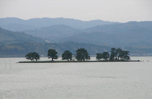 Der Shinji-See: Der Einsatz von Neonikotinoiden auf nahe gelegenen Reisfeldern liess im siebtgrössten Binnensee Japans ganze Fischpopulationen einbrechen. (Bild Bernard Gagnon/CC BY-SA 3.0)