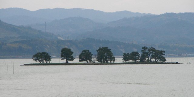 Der Shinji-See: Der Einsatz von Neonikotinoiden auf nahe gelegenen Reisfeldern liess im siebtgrössten Binnensee Japans ganze Fischpopulationen einbrechen. (Bild Bernard Gagnon/CC BY-SA 3.0)